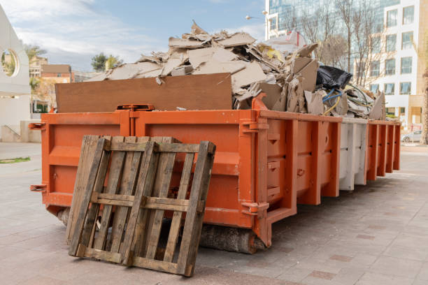 Shed Removal